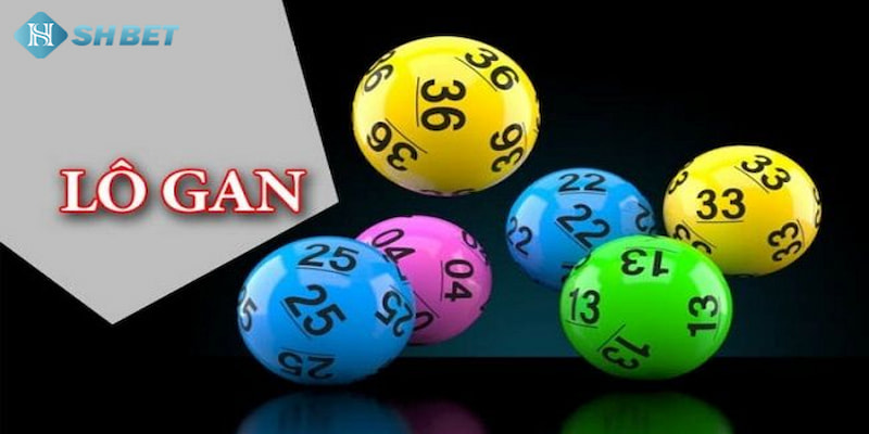 Banner www.mayphuongthao.com