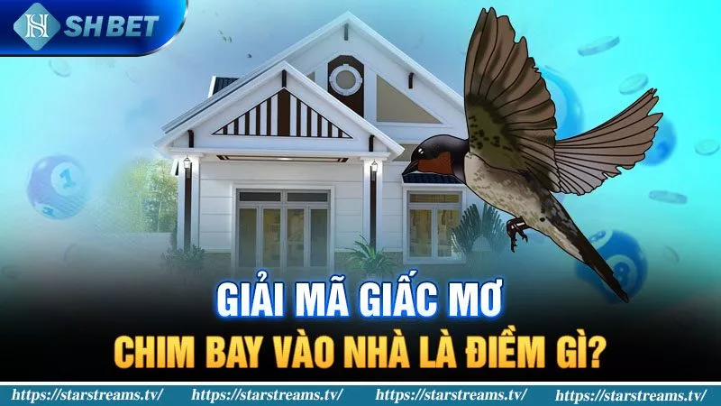 Banner www.mayphuongthao.com