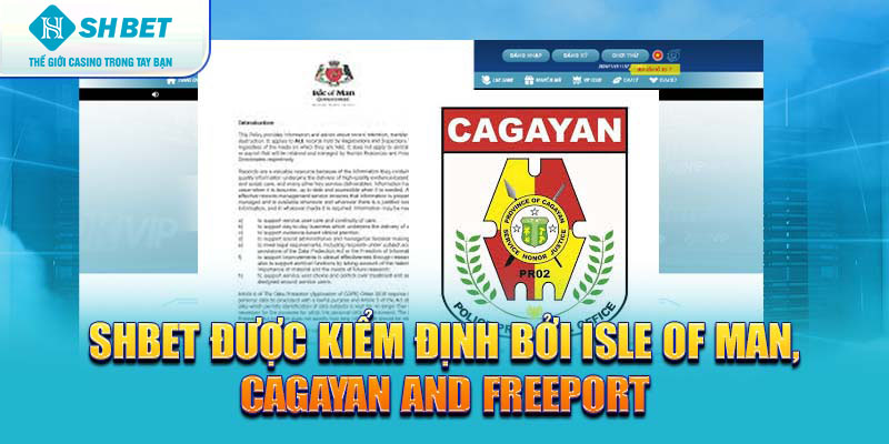 Banner www.mayphuongthao.com