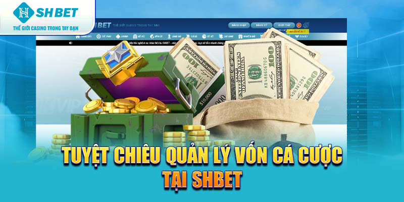 Banner www.mayphuongthao.com