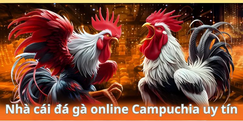 Banner www.mayphuongthao.com